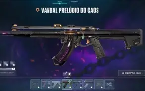 Conta Valorant 4000 reais gastos