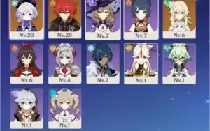 Genshin Impact / NA / AR11 / DILUC + QIQI