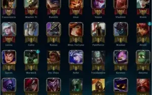 Conta Plat 5 SoloDuo | Flex Gold 3 (Borda Gold)