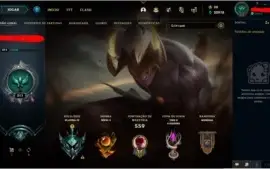 Conta LOL - Todos campeões adquiridos - 258 Skins habilitada
