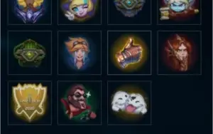 Conta d4 winrate alto, jungler