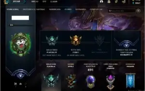 Conta Platina IV