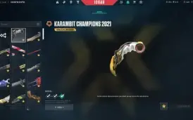 Conta Valorant - R$6500 em skins, champions 2021 e etc