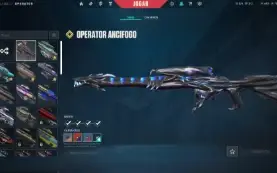 Conta Valorant - R$6500 em skins, champions 2021 e etc