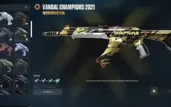 Conta Valorant - R$6500 em skins, champions 2021 e etc