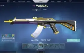 Conta valorant beta full skins+passes