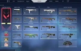 Conta valorant beta full skins+passes