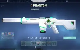 Conta valorant beta full skins+passes