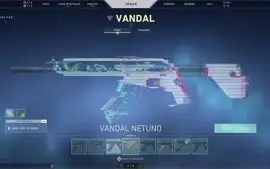 Conta valorant beta full skins+passes
