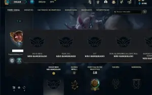 Conta Unranked com 40 Champs e 14 Skins ( MAIN TOP / JG )