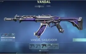 CONTA GASTOS R$688 PLAT 1 FULL SKINS