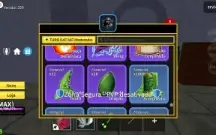 Bloxfruit conta
