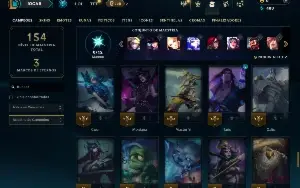 Unranked com 80 Champs e 22 Skins ( ADC / JG )