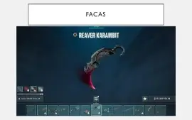 Conta da Riot (LOL e valorant) - mais de 3100 gasto na conta