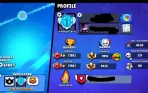 Pego Mestre pra você no Brawl Stars!