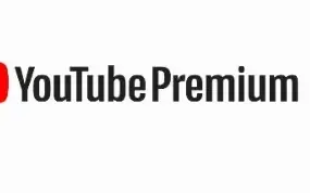 Youtube Premium Link De Ativação DURACÃO 30 DIAS