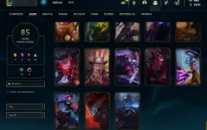 Unranked com 90 Champs e 85 Skins ( MAIN SUP )