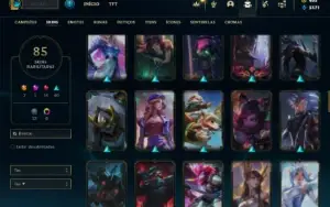 Unranked com 90 Champs e 85 Skins ( MAIN SUP )