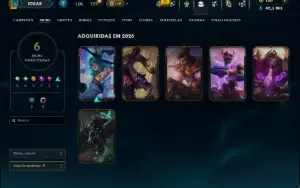 Mestre com 30 Champs e 6 Skins