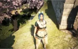Conta Black Desert Online Ranger full BOSS + 2 TET