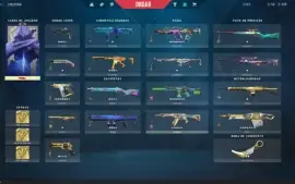 Conta Valorant Com Muita Skin (aceito propostas)