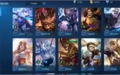 Mobile Legends - Ex Grande Mestre - 15 Heróis - 8 Skins