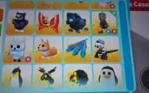 Pets adoptme, faço tudo por 30 reais