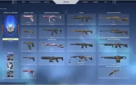 conta valorant com skin