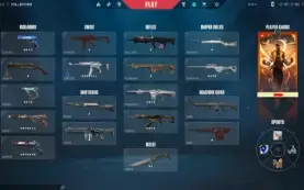 Conta Valorant LVL 452 + SKINS (desde o beta)