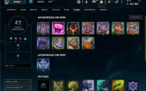 Mestre com 30 Champs e 2 Skins + 10 Fragmentos