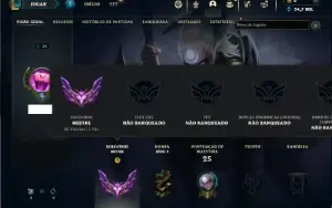 Mestre com 30 Champs e 2 Skins + 10 Fragmentos