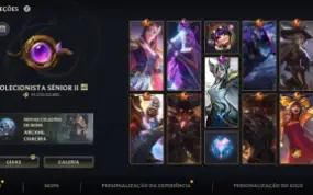 Wild 96 Skins Full dados várias Skins brabas( colecionador s