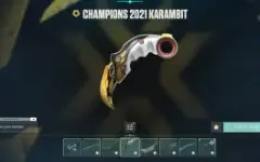 Conta Radiante Com Muitas Skins / Valorant