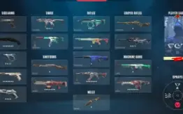 Conta Radiante Com Muitas Skins / Valorant