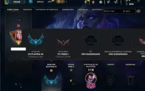 Ferro 1 com 35 Champs e 2 Skins