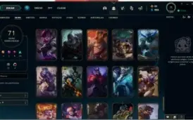 Conta Diamond, Com 102 campeões e 71 skins