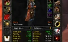 Paladin Protection 5.3 Gear PVE + Proffs