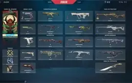 Conta Valorant 2580 reais gasto em skins