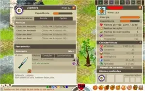 SACRIER LV 153 DOFUS RETRO MONOCONTA IX (9)