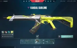 Conta Valorant Fa ( Full Acesso ) Muita Skin