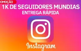 Instagram - Seguidores / Início Rápido /