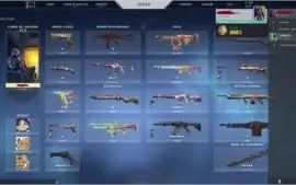 VENDO CONTA DE VALORANT GOLD 3 (com skins)