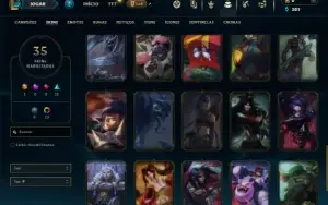 Mestre com 100 Champs e 35 Skins  ( 39 PDL )