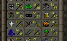 CONTA RUNESCAPE OLDSCHOOL 188 qp void torso+