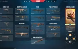 Conta valorant com muitas skins (incluindo vandal ancifogo)