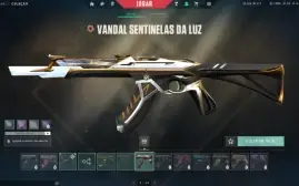 Conta valorant com muitas skins (incluindo vandal ancifogo)