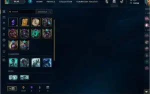 CC LOL 249 Skins