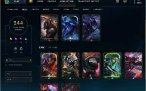 CC LOL 249 Skins