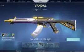 Conta valorant com 900 reais em skins!!