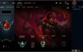 conta PLATINA 4 udyr guardião espiritual